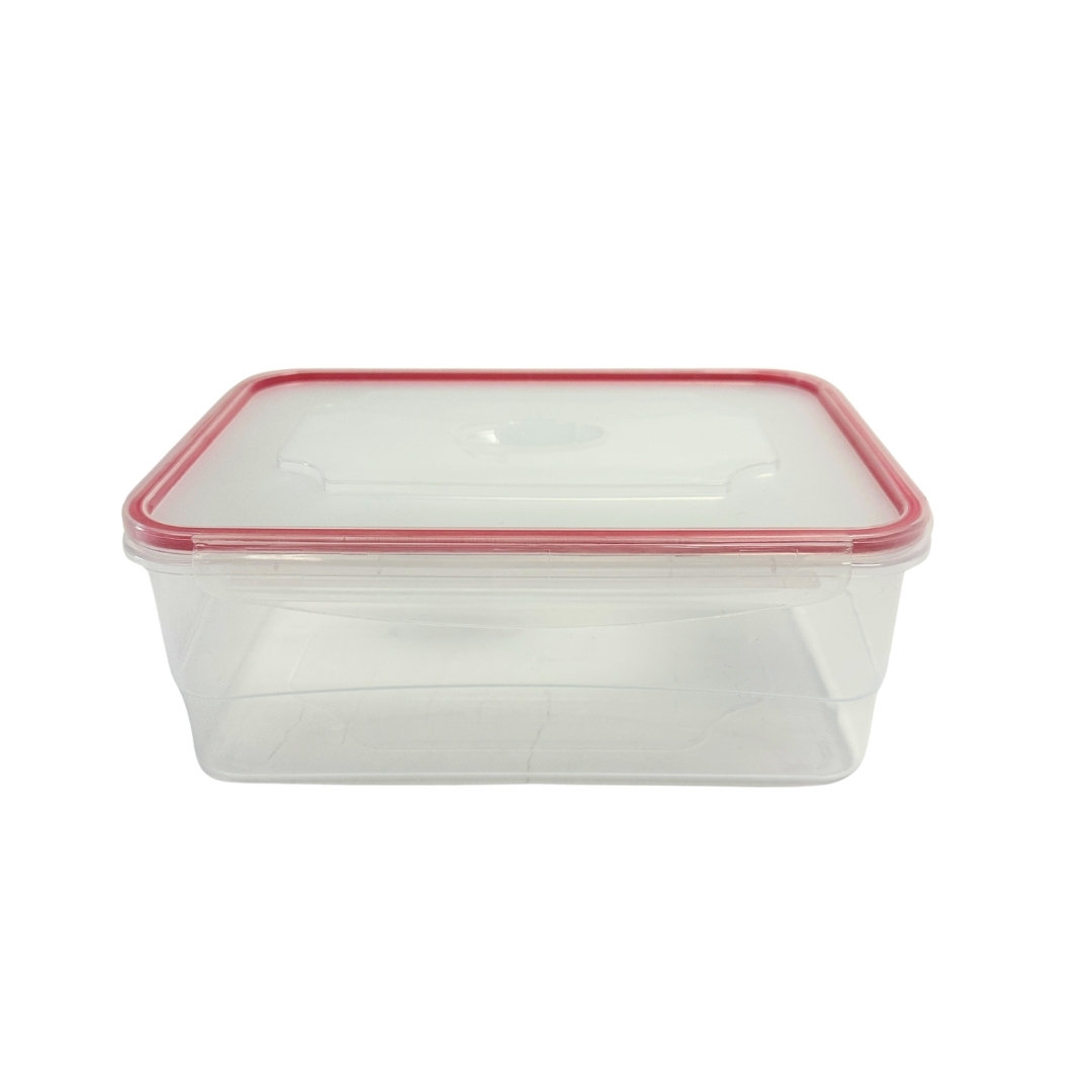 Dammien 83oz. Food Storage Container (Set of 10)